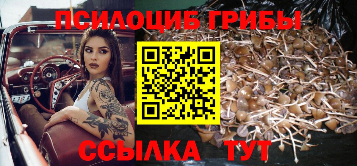 купить наркоту  Псилоцибиновые грибы Psilocybine cubensis  Вход с VPN  Каспийск 