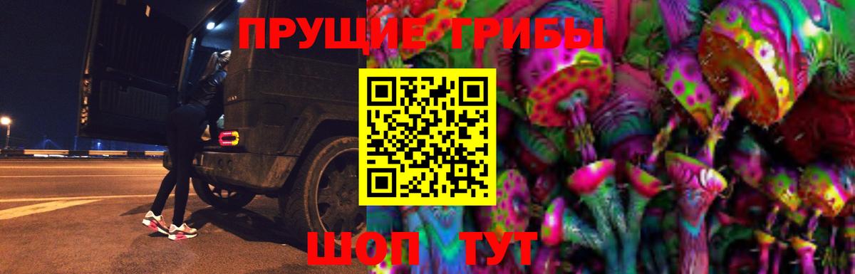 Псилоцибиновые грибы Psilocybine cubensis Каспийск